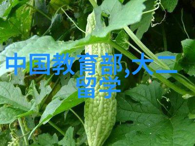 英国留学生学历认证背后的重要性与流程