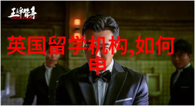 中国留学生服务中心学历认证确保海外学子的学术合法性