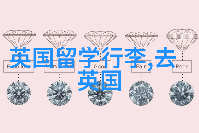 除了经济实力我还需要准备哪些其他因素来申请瑞士大学