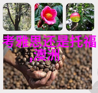 芬兰350家公司表示希望英语为工作语言