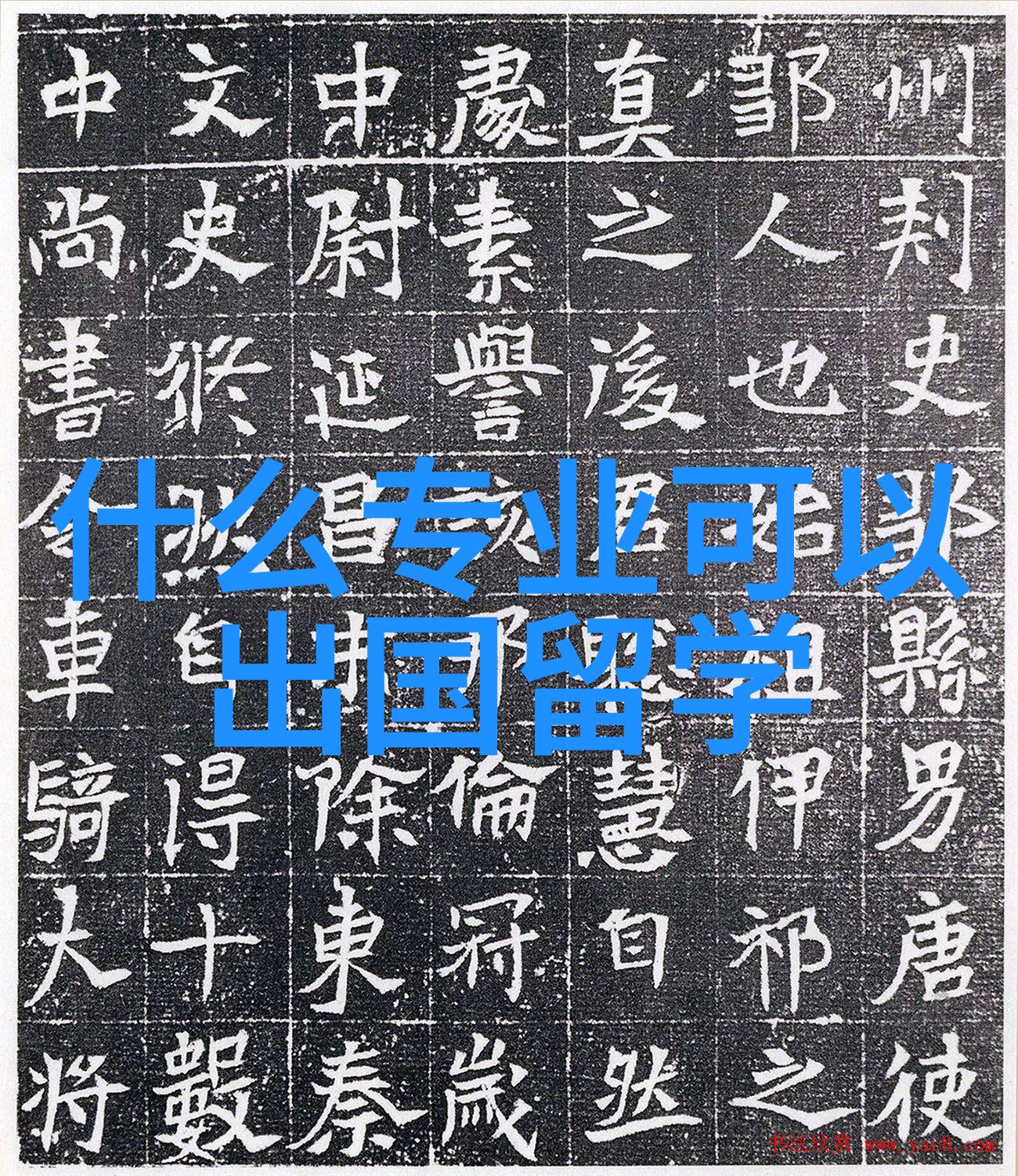 海外求学中国留学生在日本的故事探索