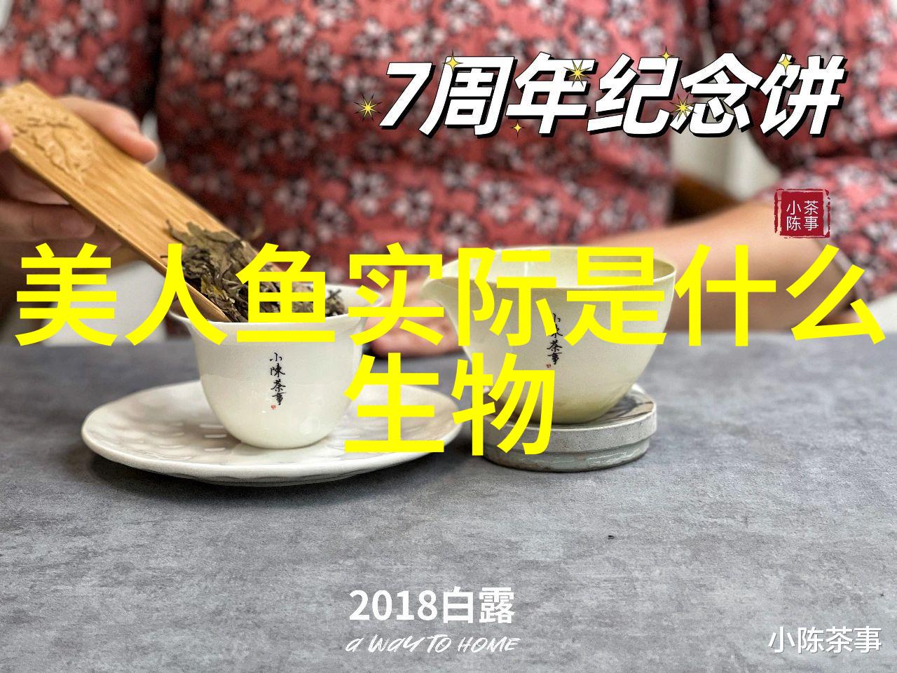 《揭开神秘面纱：探索美人鱼真实身份的科学探秘》