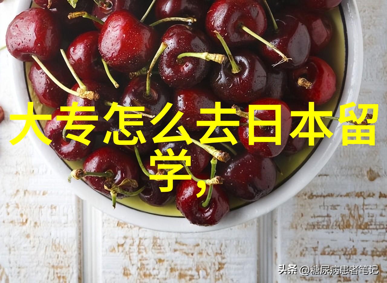 未来之光少年们的学业选择与前程广阔