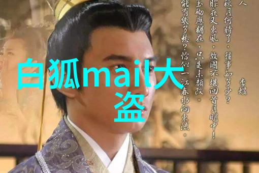 白狐mail大盗：神秘网络奇盗的惊险冒险