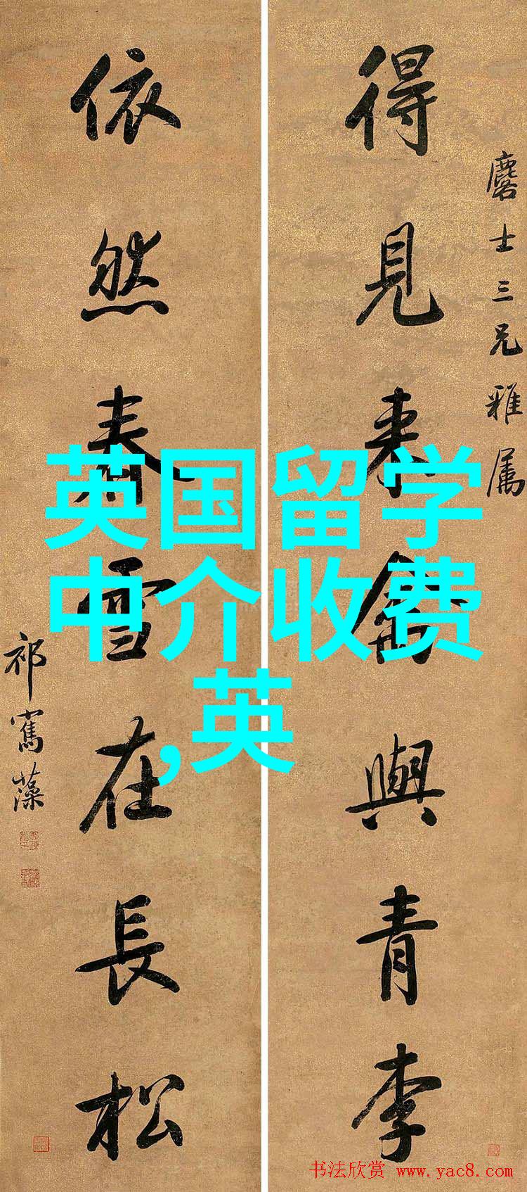 梦想桥梁专注日本留学的中介之旅