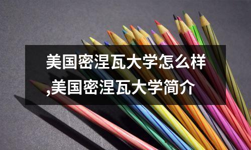 美国密涅瓦大学怎么样美国密涅瓦大学简介