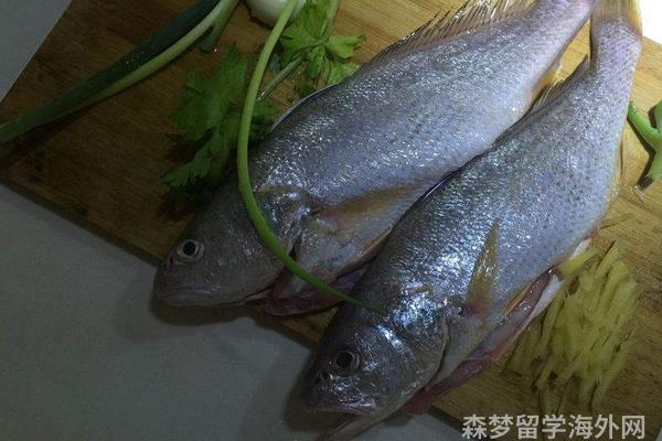 留学新加坡要花多少钱一起来探讨一下吧